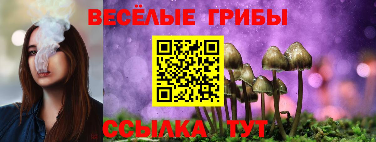 Галлюциногенные грибы ЛСД Междуреченск